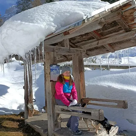 Отель Lorenzini