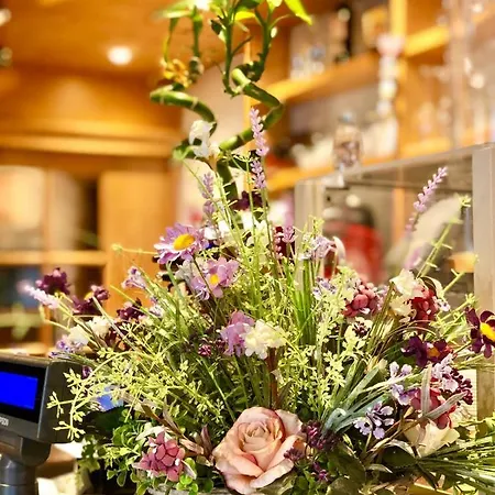 Lorenzini 2* Selva di Cadore