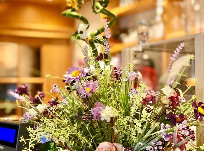 Lorenzini 2* Selva di Cadore